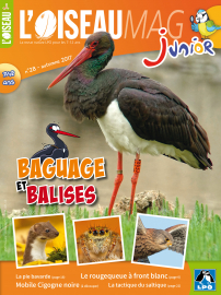 Couverture de l'OISEAU MAG JUNIOR n°28